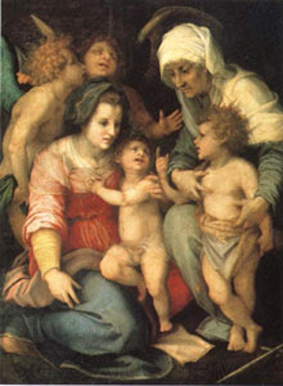 Andrea del Sarto The Holy Family with Angels (mk05) Spain oil painting art